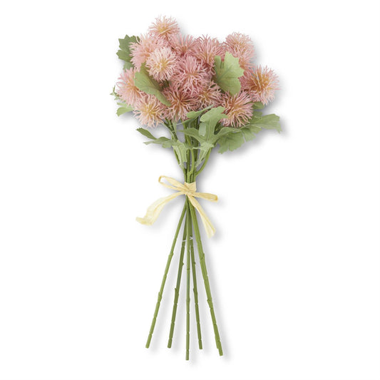 Sycamore Fruit Ball Bundle - Pink
