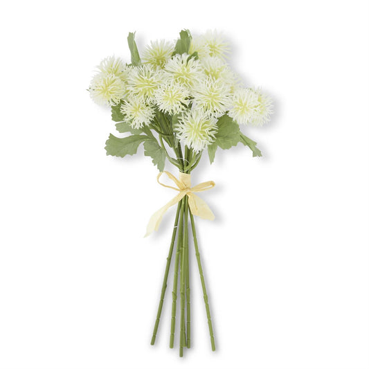 Sycamore Fruit Ball Bundle - White