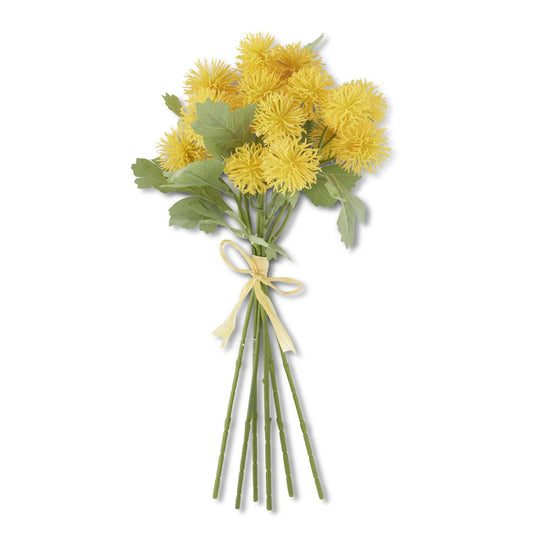 Sycamore Fruit Ball Bundle - Yellow
