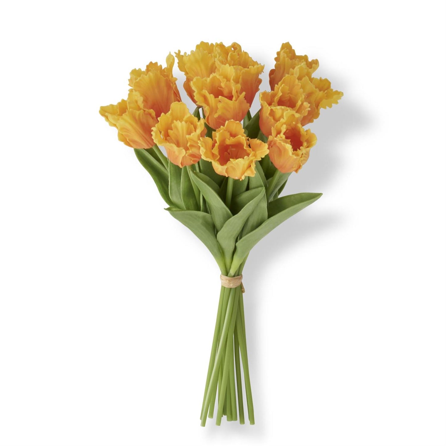 Real Touch Parrot Tulip Bundle - Light Orange