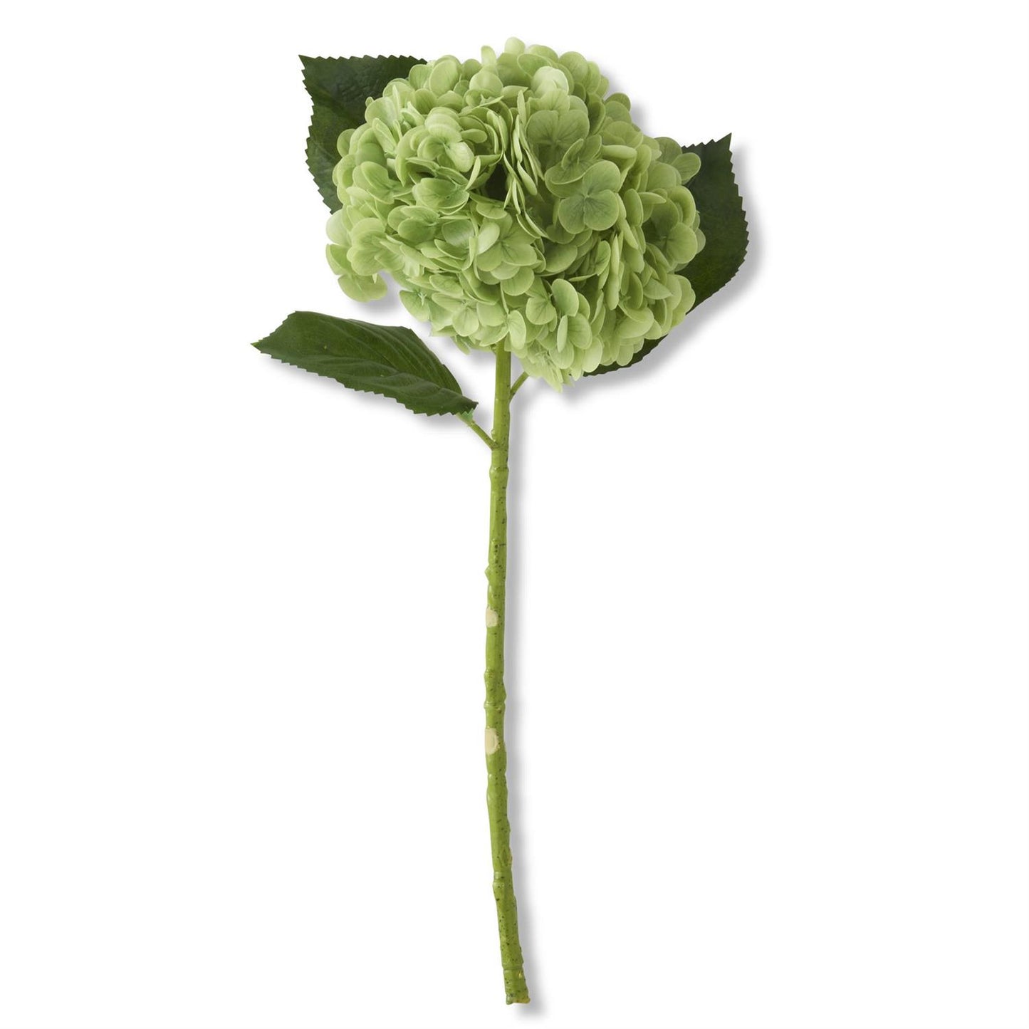 Real Touch Hydrangea Stem - Green