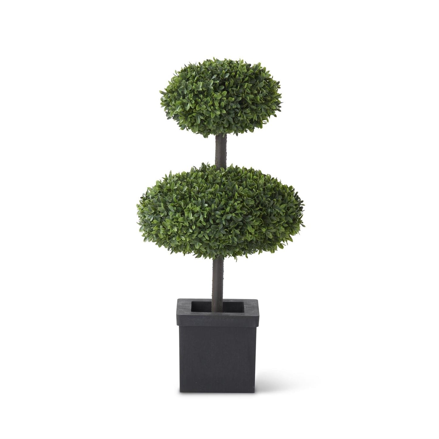 2 Disk Boxwood Topiary Tree