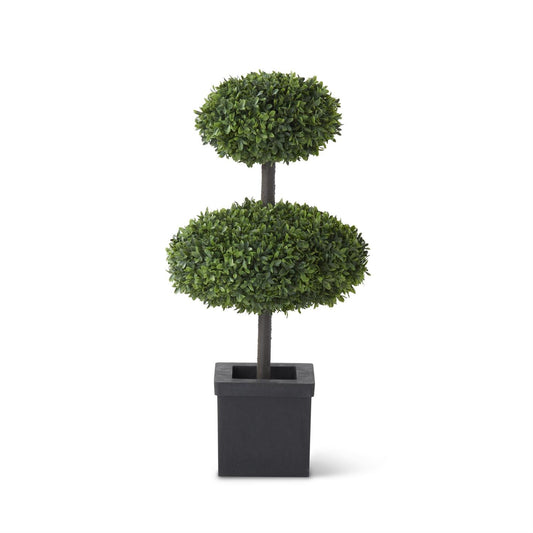 2 Disk Boxwood Topiary Tree
