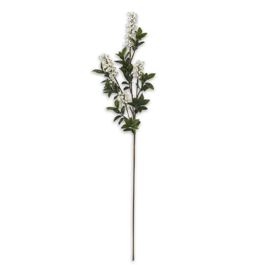Cream Berry Stem