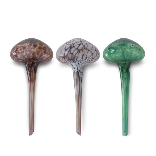 Glass Plant Watering Mushrooms