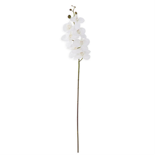 Orchid Stem - White