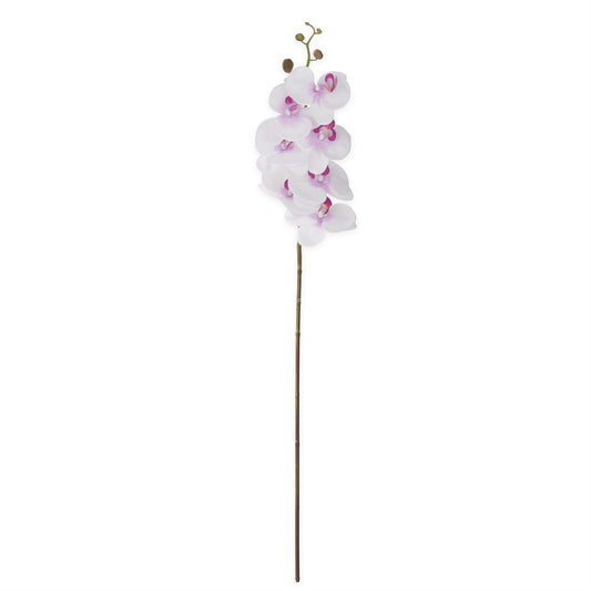 Orchid Stem - White and Purple