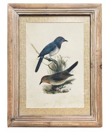 Wood Framed Bird Print