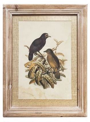 Wood Framed Bird Print