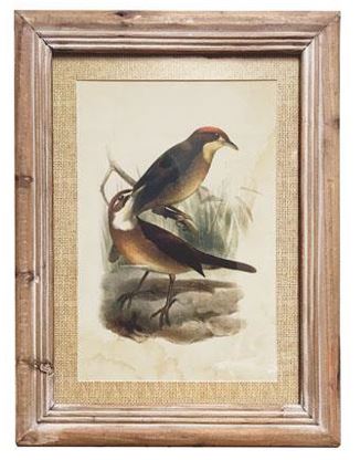 Wood Framed Bird Print