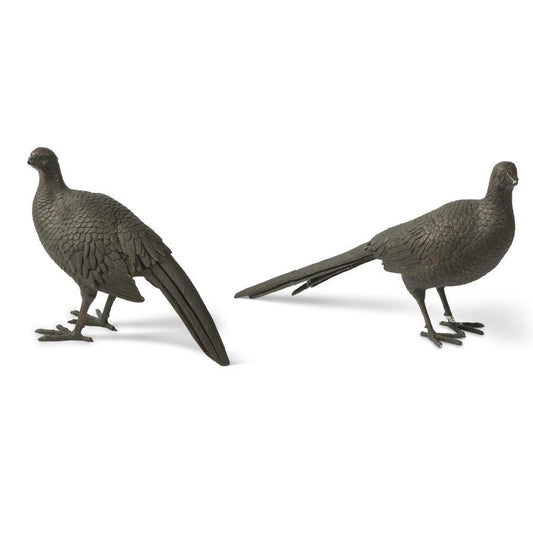 Bronze Pheasants