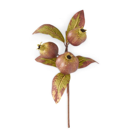 Burgundy & Green Brown & Cream Speckled Pomegranate Pick