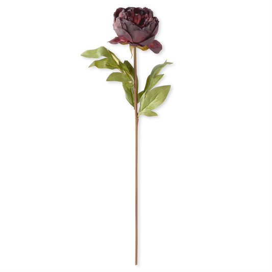 Purple Faux Dried Peony Stem