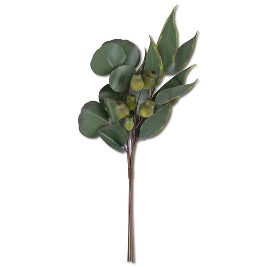 Mixed Eucalyptus Bundle