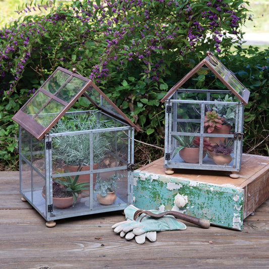 Farmhouse Terrariums