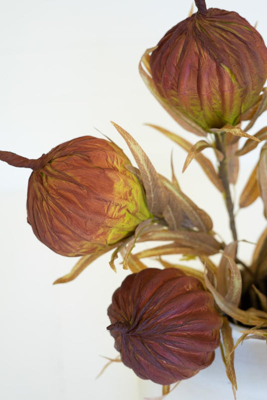 Fall Pod Spray