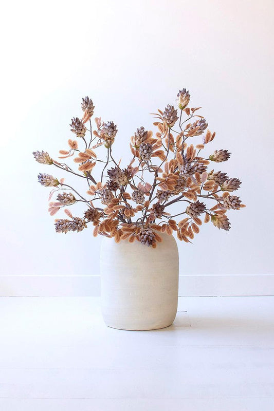 Fall Seed and Leaf Spray