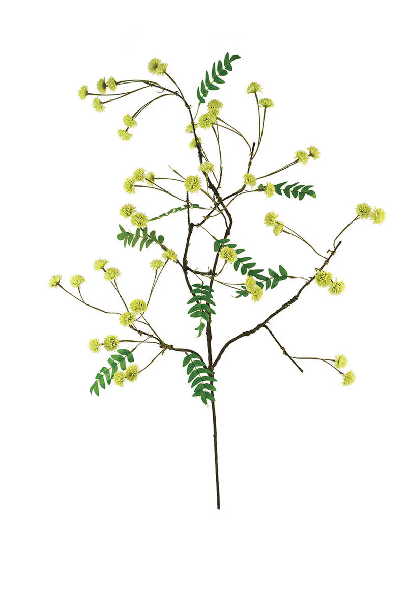 Green and Bud Stems