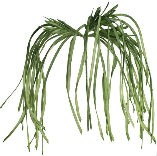 Green Frond