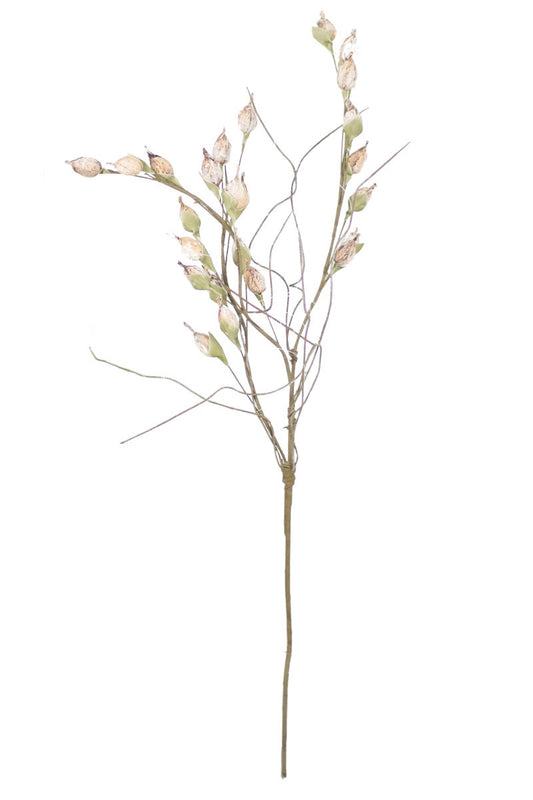 White and Light Green Pod Spray