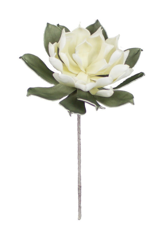 White Flower
