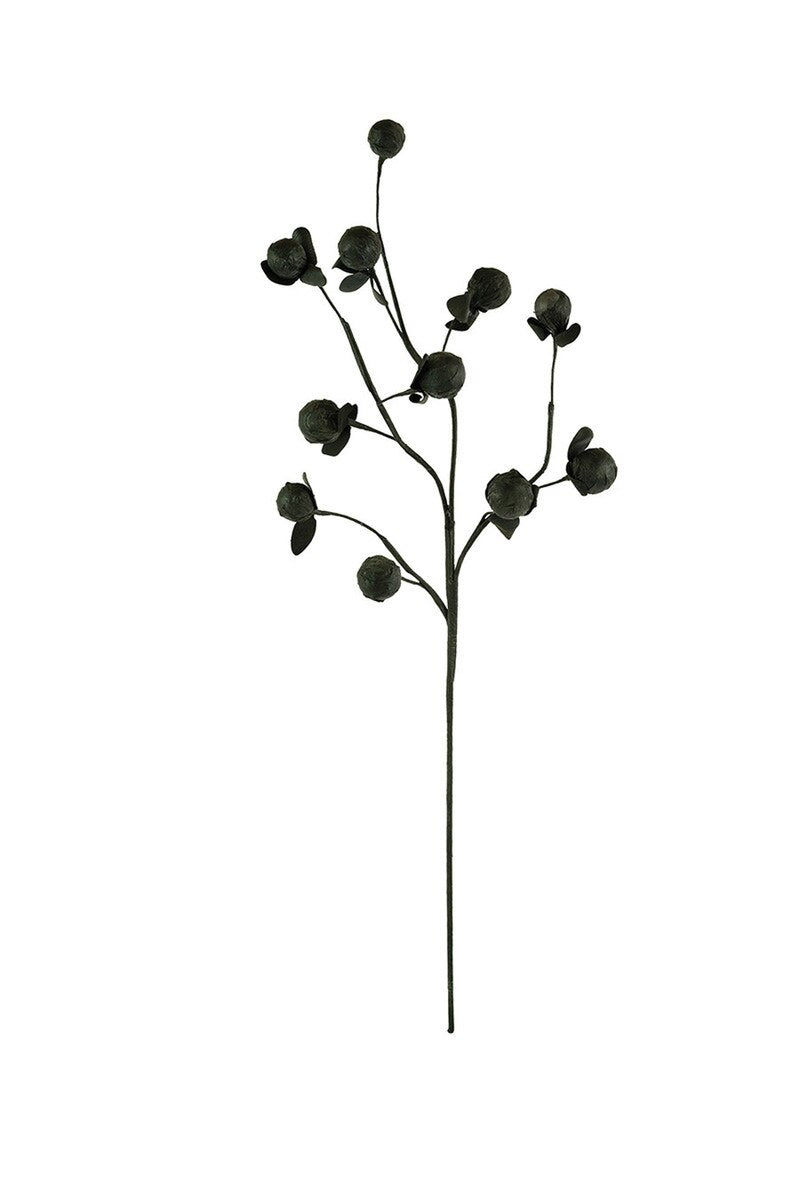 Black Pod Spray