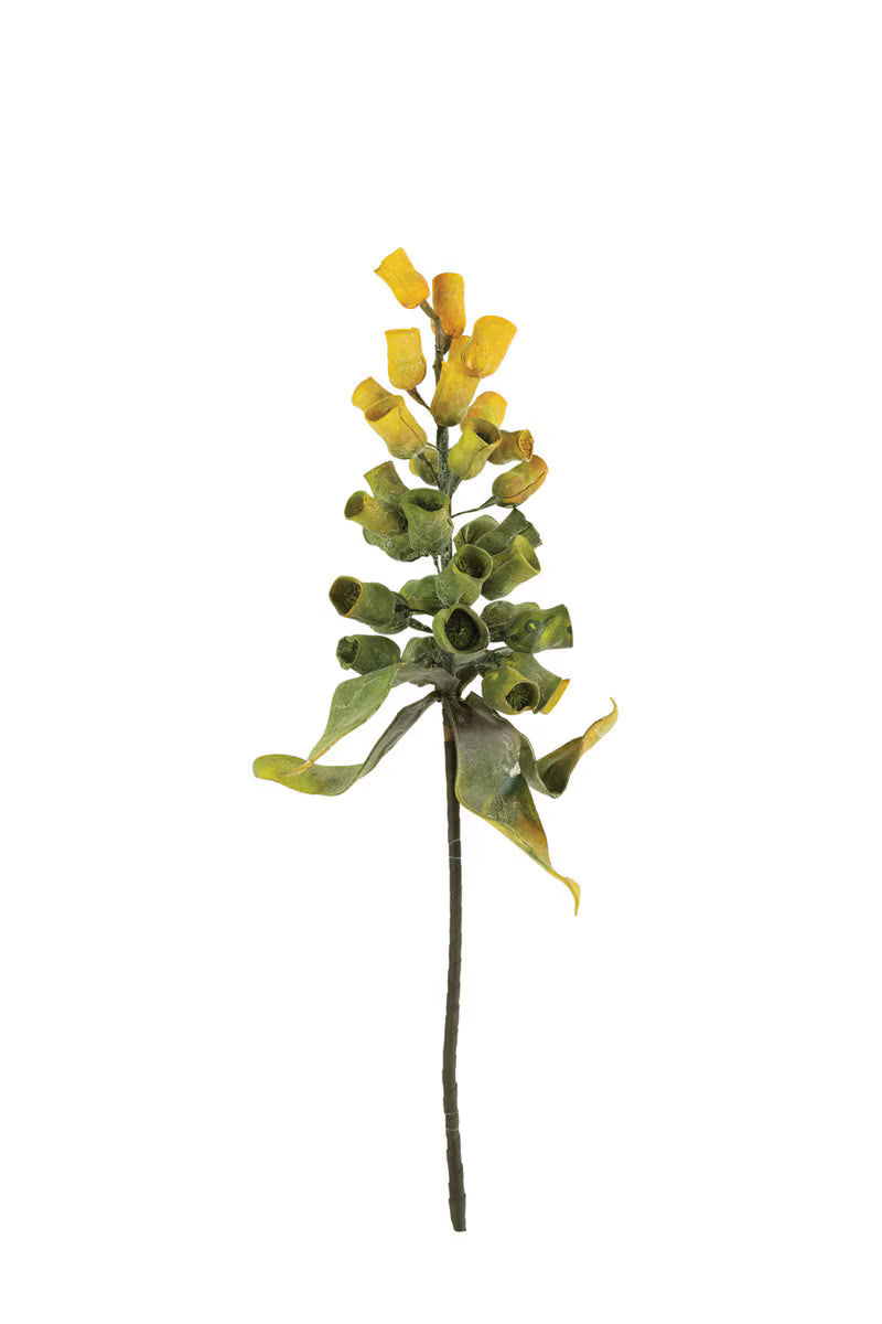 Green and Yellow Pod Spray
