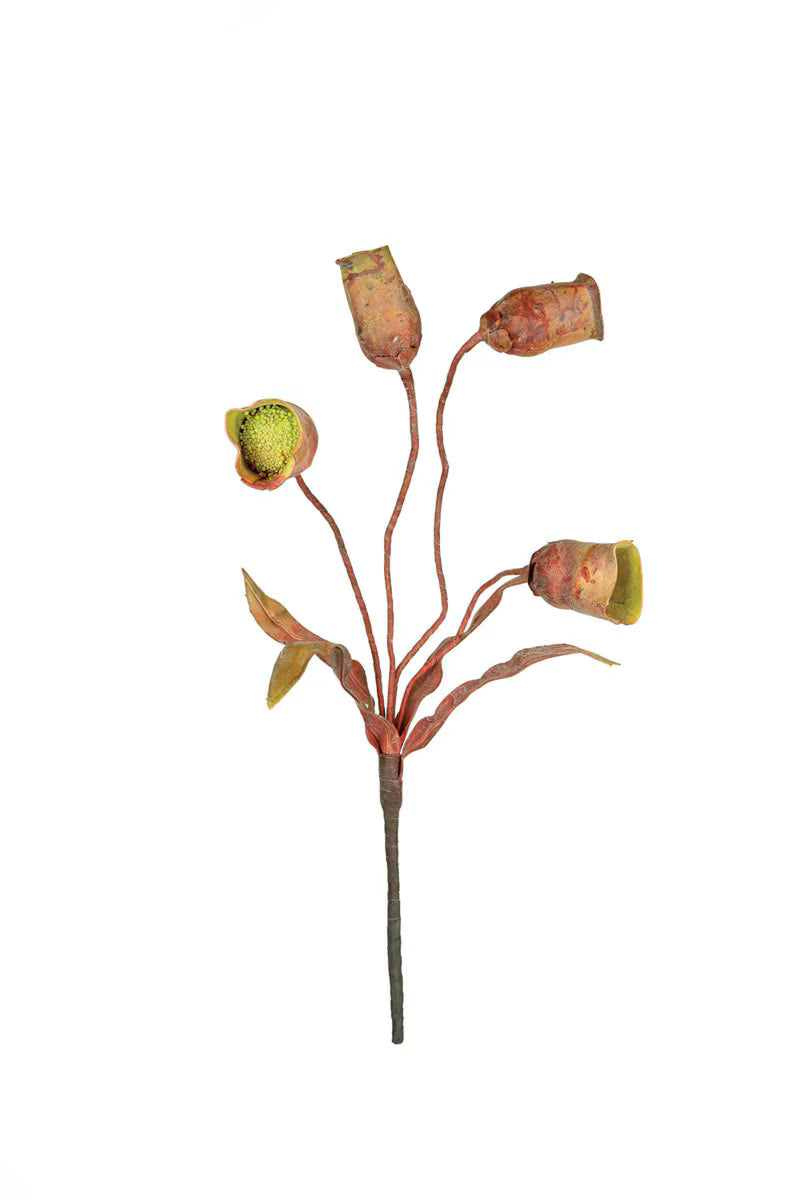 Pink and Green Pod Spray