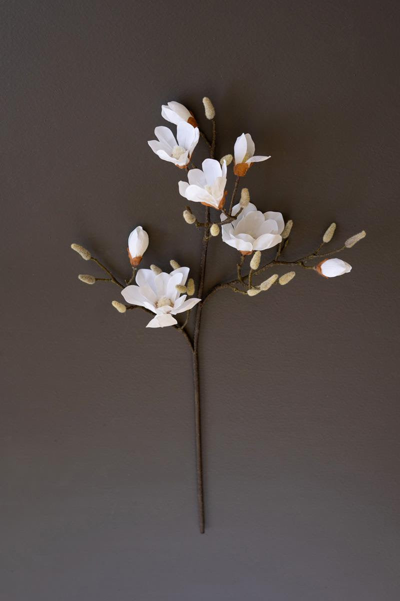 Magnolia Spray