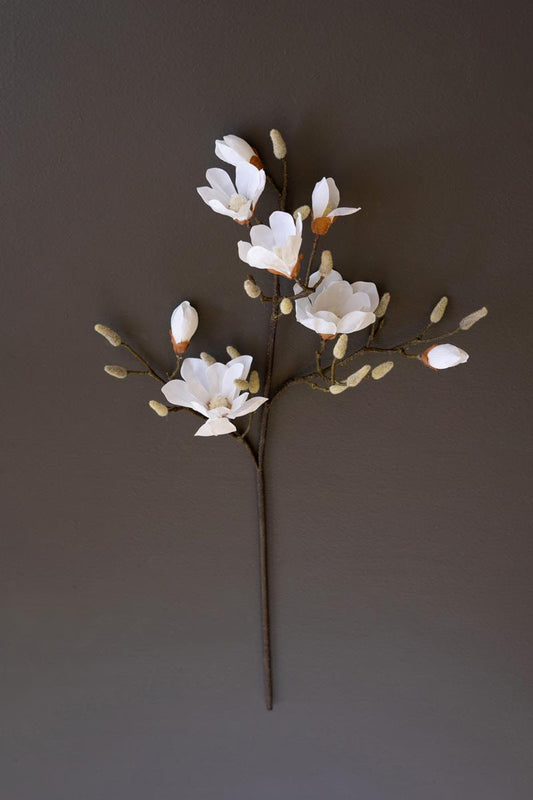 Magnolia Spray