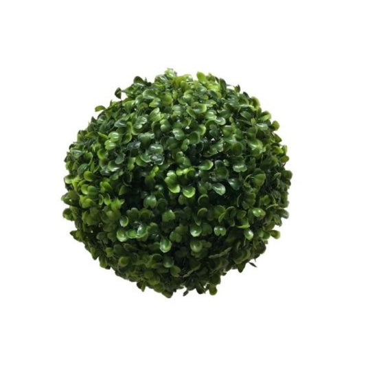Boxwood