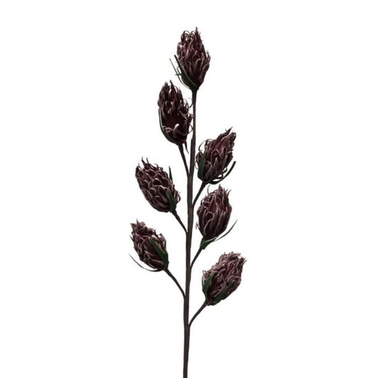 30" Thistle Pod Spray Plum