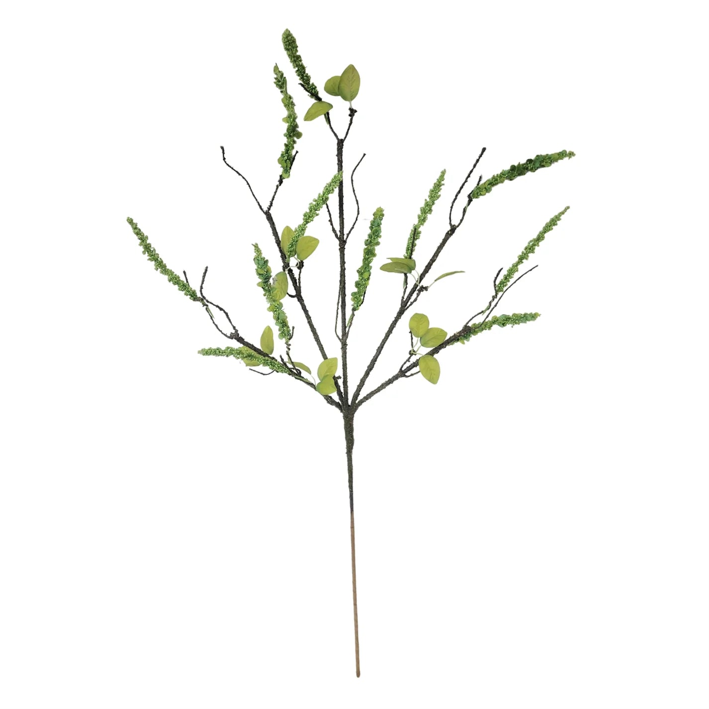 Budding Wisteria Branch - Green