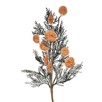Fern Orange Slice Spay