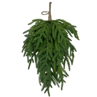 Fresh Touch Norfolk Pine Drop