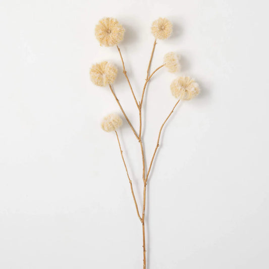 Dried Pod Spray