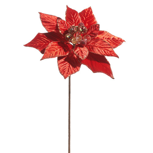 Red Poinsettia Stem