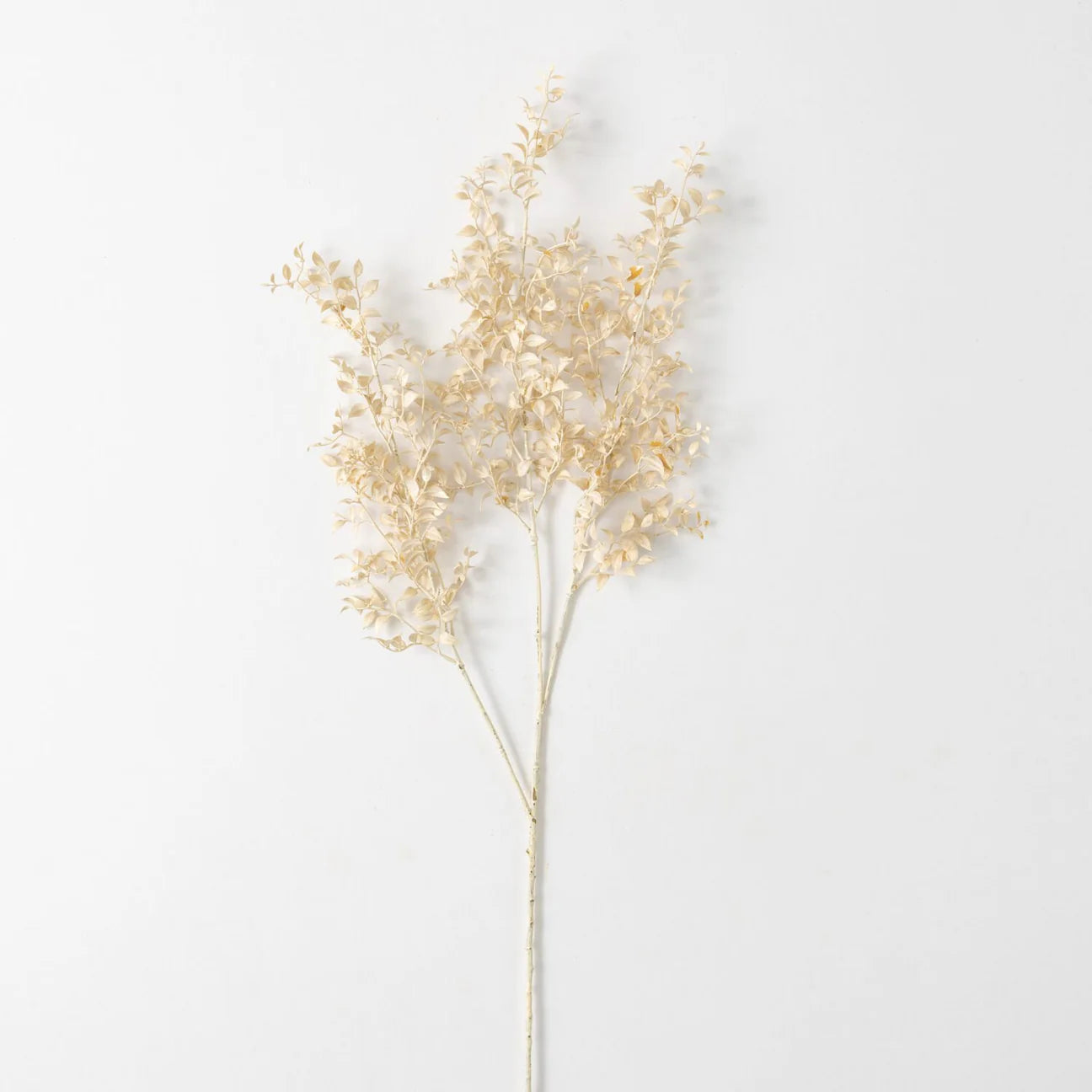 SMILAX SPRAY
