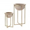 White and Gold Bowl Planter