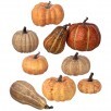 Boxed Pumpkin Assortment