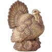 Gold Harvest Turkey