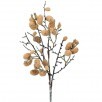 Wild Cotton Spray - Cream