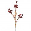 Wild Crabapple Spray