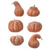 Bag of Aged Assorted Pumpkins - Sienna