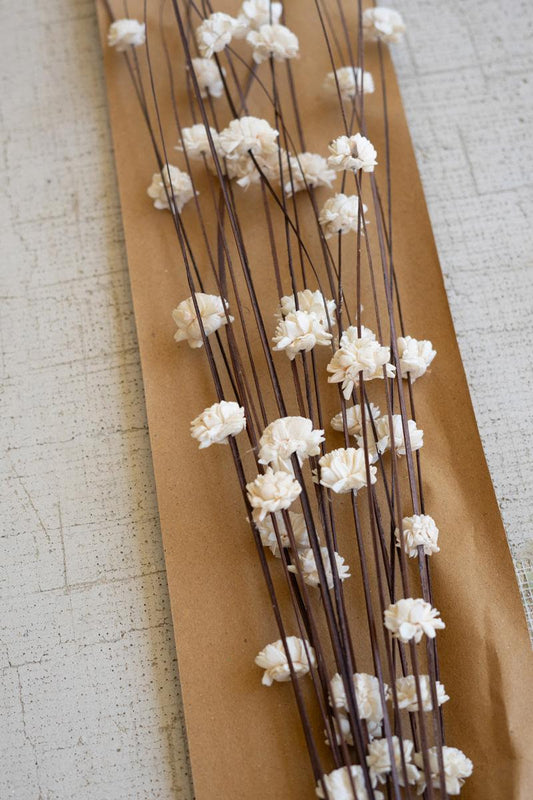 Bundle of Sola Bells on Ting Ting Stems
