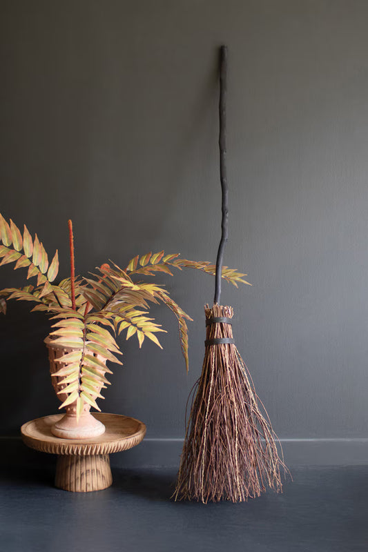 Witch Broom Stick