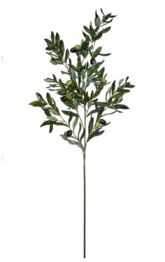 Amalfi Fruited Olive Stem
