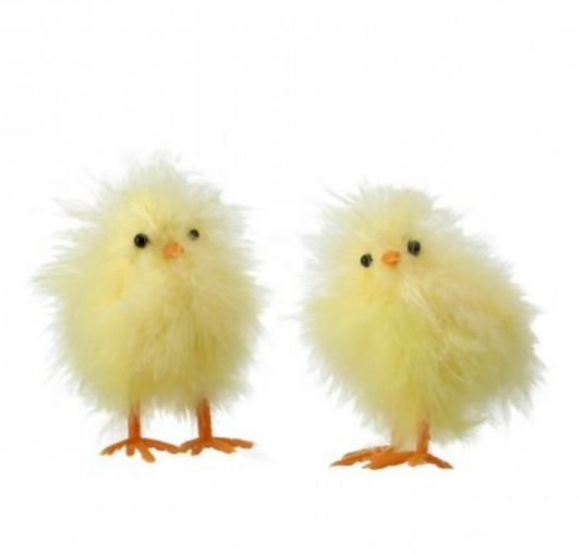 Fluffy Feather Chick