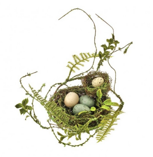 Fern & Double Birdnest with eggs