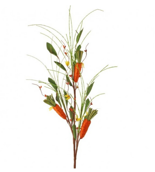 Wrapped Carrot & Pip Berry Spray